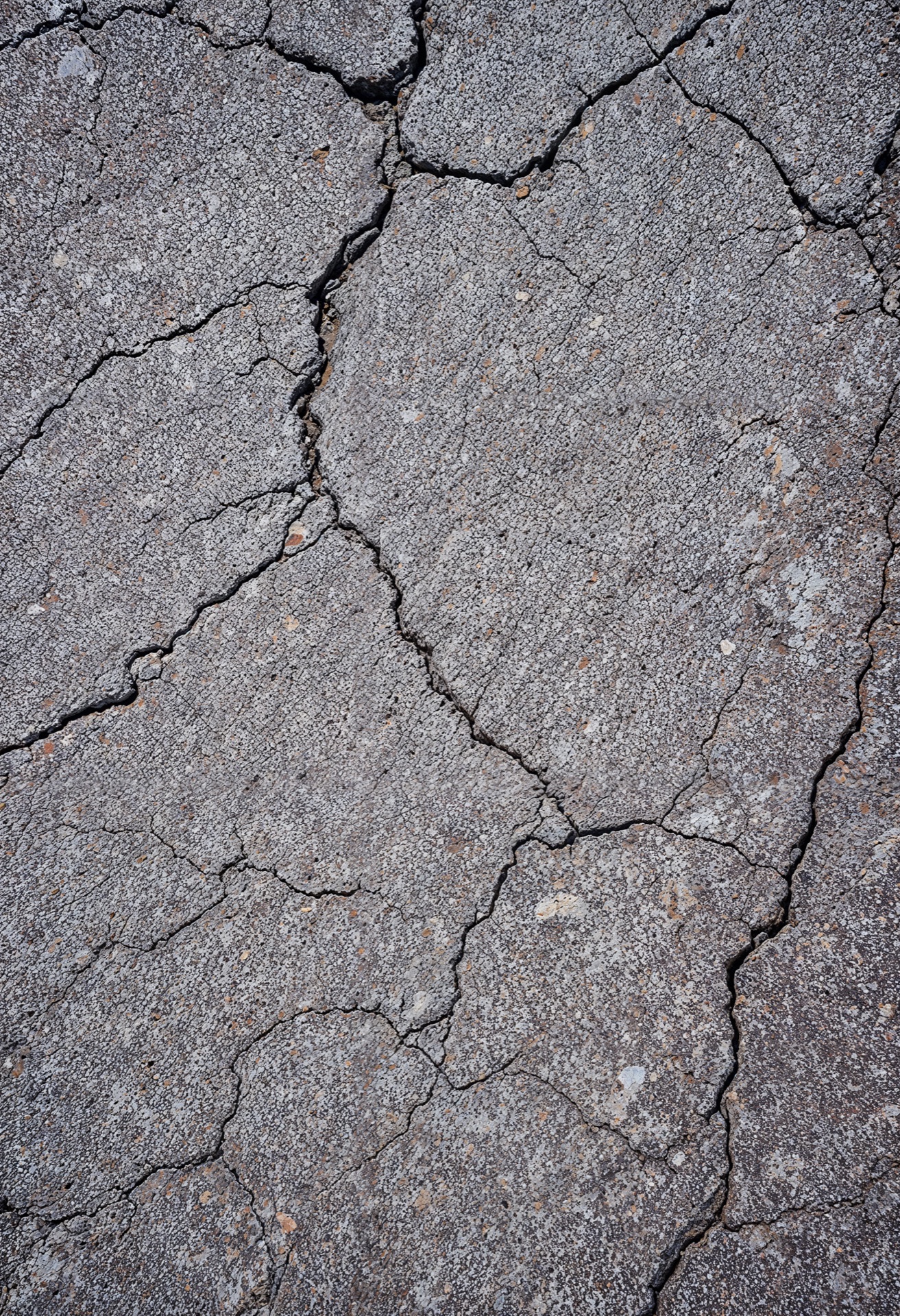 Widespread alligator cracking across an old driveway, a common sign it needs full replacement rather than a patch
